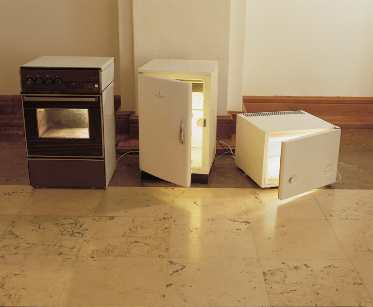 08-4-1-frizider-ledara-stednjak